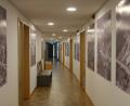 Bild: Hirsch
Die Ausstellung „Vor 66 Jahren – Eintauchen in die Schwandorfer Geschichte" ist im Schwandorfer Rathaus noch bis September zu sehen.