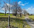 Bild: Stadt Weiden/exb
Entlang des beliebten Spazierwegs im Weidener Osten zwischen Heindlkeller, Steinernem Tisch und Zollhaus stehen die Spendenbäume.