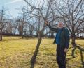 Bild: Susanne Forster
Josef Bernhard vom gleichnamigen Streuobsthof in Steinach bei Leuchtenberg besitzt rund vier Hektar Streuobstwiesen mit zahlreichen Bäumen. Sie brauchen einen jährlichen Schnitt. Die Kenntnisse darüber brachte der 56-Jährige sich selbst bei – und gibt Baumbesitzern Tipps fürs Schneiden ihrer heimischen Obstbäume.