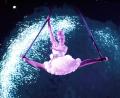 Bild: Erich Hochmayr/exb
Circus
