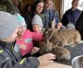 Bild: nza
Begeistert waren die Kinder davon, den Kaninchen und Hasen so nahe zu sein.