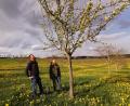 Archivbild: Portner
Eine Streuobstwiese – so wie hier in Hansenried bei Neukirchen-Balbini – ist bereits mit der Blüte im Frühling wichtig für den Erhalt der Artenvielfalt.