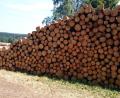 Symbolbild: dob
Holzstapel erwecken mitunter Begehrlichkeit bei Dieben.