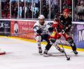 Bild: Werner Moller
Philipp Siller (links) und die Blue Devils Weiden hatten beim zweiten Play-off-Halbfinale gegen die Saale Bulls Halle Schwerstarbeit zu verrichten.