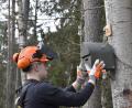 Bild: Alexander Paul/exb
Berufsschüler beim Anbringen eines Fledermauskasten im Naturschutzgebiet „Wald- und Heidelandschaft östlich von Bodenwöhr und Bruck“. Denn in dem Gebiet gibt es zu wenig alte und starke Fledermaus-Quartierbäume.