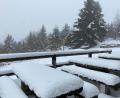 Bild: Paul Zaruba
Am Lusen im Bayerischen Wald liegt Schnee.