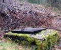 Bild: bkr
An der Grenze vom Buch- zum Steinrangen in der Flötz liegt die Quelle Ahornberg. Wasser bester Qualität ohne Nitrat und Spritzmittel aus der Landwirtschaft liefert sie. Erste Maßnahmen für die Sanierung sind getroffen. Zumindest der Baumbestand rund um die Fläche rund um den Brunnen wurde bereits gerodet.