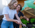 Bild: Günter Scharl
Junge Salatpflanzen ins Frühbeet setzen oder die Einfahrt kehren: Rund um Haus und Garten gibt es viel zu tun. Junge Leute können sich bei der Taschengeldbörse ein paar Euro verdienen.