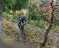 Bild: Cube/exb
Mountainbikes sind nach wie vor extrem gefragt. Viele Sportler greifen zu E-Bikes.