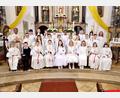 Bild: Fotostudio Argauer/exb
Ihr erste heilige Kommunion empfingen 26 Kinder in der Parksteiner Pfarrkirche St. Pankratius.