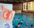 Bild: bgm
21 Kinder zwischen 6 und 11 Jahren beherrschen dank des Wasserwacht-Kurses jetzt das Brustschwimmen. Ab dem bestandenen Seepferdchen können sie ihre Fähigkeiten beim Training der Wasserwacht weiter verbessern