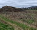 Bild: mas
Zum sechsten und letzten Mal hat die Bayerische Landesanstalt für Wald und Forstwirtschaft die Plantage an der Staatsstraße kurz nach Reiserdorf abgeholzt. Sie wird in den nächsten Tagen mit Forstmulcher und Tieffräse gerodet und wieder landwirtschaftlich genutzt.