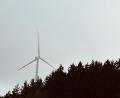 Bild: Eichl
Im Waldgebiet „Kogerie“ könnten sich einmal Windräder drehen. Der Gemeinderat benennt das Gebiet als Potenzialfläche für Windkraftanlagen.