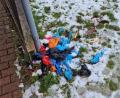 Bild: Bauhof/exb
Dort, wo so sonst Mülleimer montiert sind, liegen nun die Hundebeutel einfach so am Rasen. Ein Beispiel dafür: Der Spielplatz am Rumpler in Neustadt/WN.
