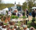 Bild: Hirsch
Die Besucher der Schwandorfer Gartentage trafen im Stadtpark auf ein reichhaltiges Angebot an Pflanzenarrangements.