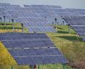 Symbolbild: Jan Woitas/dpa
Bei Etzenricht sollte eine Freiflächenphotovoltaikanlage entstehen. Der Gemeinderat hat diesem Vorhaben vorerst eine Absage erteilt.