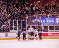 Bild: Werner Moller
Der Weidener Fanblock in Rosenheim gab ein imposantes Bild ab und hatte viel zu bejubeln. So wie in dieser Szene das 2:1 durch Robert Hechtl.