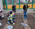 Bild: Peter Danninger/exb
Fünftklässler bei den ersten Anpflanzungen auf dem neuen Schulacker der Krötensee-Mittelschule in Sulzbach-Rosenberg.