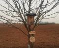 Bild: ld
Wenn in Brand ein Kind geboren wird, kann ein Baum gepflanzt und mit einem Schild mit Namen und Geburtsdatum versehen werden. Der Platz auf der sogenannten Geburtenwiese, wo etwa 70 Bäume stehen, ist jedoch knapp. Mittlerweile wurden auch schon Bäume entlang der Straßenränder der Jahnstraße gepflanzt. Streuobst-Bäume gibt es derzeit für Privatpersonen im Rahmen des Förderprogramms "Streuobst für alle". Der Gemeinderat befasste sich in der vergangenen Sitzung damit.
