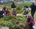 Bild: jr
Betreut wird der Resl-Garten von einem Team des Obst- und Gartenbauvereins Konnersreuth mit Vorsitzender Barbara Wenisch (hinten rechts) an der Spitze. Unterstützung leisteten bei den Vorbereitungen auch Frauen und ein Ehepaar aus der Ukraine.