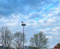 Bild: Ferdinand Sperber/exb
Der Weißstorch in Waldsassen hat sich die Straßenlaterne in der Karolinenstraße an der Einmündung zur Pfaffenreuther Straße als Lande- und Aussichtspunkt ausgesucht – in Sichtweite seines Horstes Am Hamannsgarten.