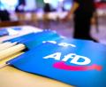 Bild: Daniel Karmann/dpa
Fähnchen mit dem Logo der AfD liegen beim Landesparteitag der AfD Bayern auf einem Tisch.