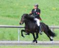 Bild: Claudia Achilles
Bei den Wurzer Sporttagen dreht sich vom 28. April bis 1. Mai alles um die Islandpferde. Im Rennpass geht es um die bayerische Meisterschaft und die WM-Qualifikation.