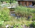 Bild: Umweltstation Waldsassen/exb
Im Kloster- und Naturerlebnisgarten Waldsassen beginnt am 1. Mai die Saison.
