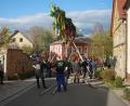 Bild: edo
Lediglich mit Schwalben und Muskelkraft wurde in Oberbibrach der Maibaum aufgestellt.