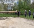Bild: adj
Mit Hilfe von Traktor und Bagger wurde der Maibaum transportiert und aufgestellt.