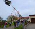 Bild: gi
Nach alter Tradition wurde ein Maibaum am Siedlerhaus aufgestellt. Der Frühlingsbote wurde anschließend durch zahlreiche Besucher gebührend gefeiert.
