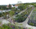 Bild: Baumschule Kahl
Am Samstag und Sonntag, 6. und 7. Mai, öffnet das Gartenparadies in Götzendorf.