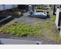Bild: kro
Auf Plätzen, wo im Fuchsmühler Friedhof Gräber aufgelöst wurden, könnten in Zukunft Urnengräber entstehen.