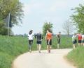 Archivbild: Andreas Brueckmann
Der Landkreislauf ist ein echtes Teamevent. Kurz vor dem Ziel gehen die vorherigen Läufer ihren Zielläufern entgegen. Das Landratsamt weist auf Regeln für Zuschauer und Sportler hin.