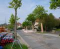 Bild: do
Die Sicherheit der Wasserversorgung und der Abwasserentsorgung kostet der Marktgemeinde viel Geld. Im Bild die derzeitige Sanierung und Neuverlegung von Abwasserleitungen in der Eschenbacher Straße. Den finanziellen Aufwand kann die Kommune nach den Vorgaben des Kommunalabgabengesetzes in Form eines Verbesserungsbeitrages auf die Grundstückseigentümer umlegen.