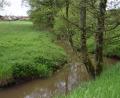 Bild: bnr
In vielen Windungen schlängelt sich der Katzbach von Guteneck nach Unterkatzbach. Dabei kommt es zu Ausspülungen der Uferböschung.
