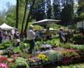 Archivbild: gi gi
Der Gartenmarkt im Generationenpark Gruberbach in Moosbach lädt am 21. Mai von 11 bis 18 Uhr zum Flanieren ein.