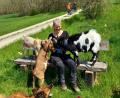 Bild: hka
Uschi Heindl zieht oft die Blicke von Wanderern und Radlern auf sich: Hier ist sie am Bienenlehrpfad inmitten blühender Tulpen umgeben von ihren Ziegen und dem Hofhund Shadow.