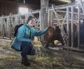 Bild: Steinwald-Allianz/exb
Der Bio-Betrieb von Petra und Peter Lang in Wildenreuth wird heuer einen "entspannten Rin-der-Mittwoch" anbieten und Einblicke in die biologische Angus-Mutterkuhhaltung gewähren.