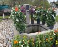 Bild: bjp
Zum Schwarzenbacher Blumenmarkt schmücken bunte Blüten die Ortsmitte. Zum Bürgerfest am Pfingstsonntag werden es fröhlich feiernde Menschen sein.