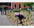 Bild: ds
Während jede der fleißigen Mitglieder des Gartenbauvereins Neukirchen rund 100 Pflanzen in die Erde einbrachte, erörterten Bürgermeister Peter Achatzi (links), Gartenbauvereinsvorsitzende Annemarie Hubmann und Kreisfachberater Markus Fuchs letzte Details der lobenswerten Aktion.