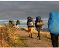 Bild: Stamm Graf Gebhard Sulzbach-Rosenberg/exb
Mit Rucksack, Isomatte und Schlafsack: Auf der Sommerfahrt 2021 ging es für zehn Teilnehmer 140 Kilometer quer durch Dänemark, von der Ostseeküste (Vejle) an die Nordseeküste (Blåvand).