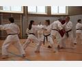Bild: Karatedojo Altenstadt/WN/exb
In freundschaftlicher Atmosphäre trainieren Sportler aus Altenstadt und Beucherling in der Turnhalle in der Mittelschule.