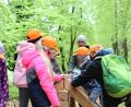 Bild: Constanze Callens/exb
24 dritte Klassen aus dem Landkreis Tirschenreuth nahmen an den Waldjugendspielen in Pfaben teil.