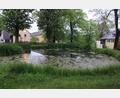 Bild: kro
Der Wasserspiegel im Dorfweiher wurde abgesenkt. Xaver Klausner forderte, dass der Wasserspiegel wieder angehoben wird.