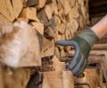 Bild: Christin Klose
Die Forstbetriebsgemeinschaft Neustadt-Nord betreut 825 Mitglieder mit über 7000 Hektar Wald.