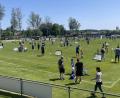 Bild: gau
Hochbetrieb herrschte auf den sechs Spielfeldern mit 24 Mini-Toren beim Minifußball-Cup des 1. FC Rieden am Pfingstmontag.