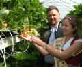 Bild: Hirsch
Erdbeer-Königin Alexandra Stömmer strahlt beim Anblick der süßen Früchte. Landwirt Johannes Rester erklärte ihr den Stellagen-Anbau "im Tunnel".
