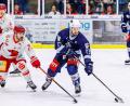 Archivbild: Werner Moller
Am 17. September bestreiten die Blue Devils ein Testspiel bei den Saale Bulls Halle. Das Bild zeigt Tomas Rubes (rechts) im ersten Halbfinal-Match der vergangenen Saison gegen die Hallenser.