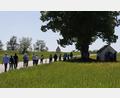 Bild: mfh
Kleine Kapellen am Wegesrand steuerte der Arbeitskreis für Flur- und Kleindenkmalforschung in der Oberpfalz auf einer Rundfahrt im Umland von Auerbach an.